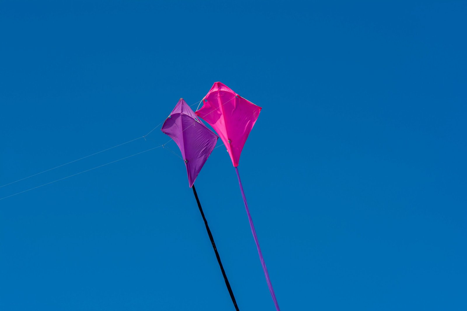 Bright pink and purple kites flying high in a clear blue sky, symbolizing freedom and joy.
